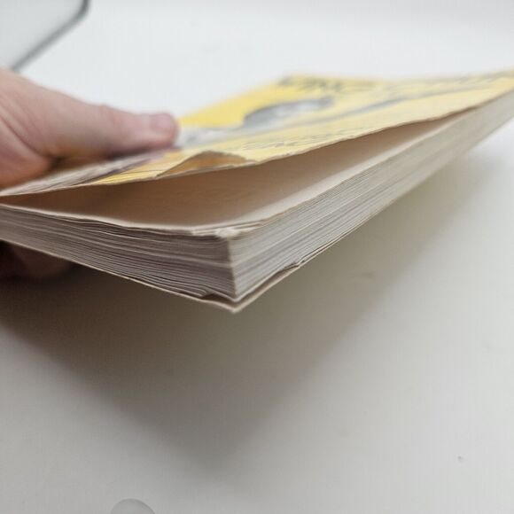 WING CHUN BIL JEE THE DEADLY ART OF THRUSTING FINGERS William Cheung - Picture 14 of 15